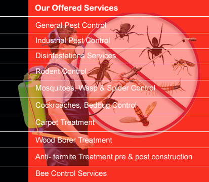 Paramount Pest Control